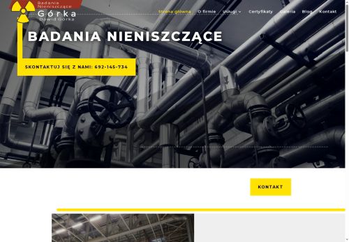 BADANIA NIENISZCZĄCE GÓRKA DAWID GÓRKA